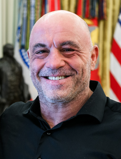 Joe Rogan, 10th Planet system practitioner